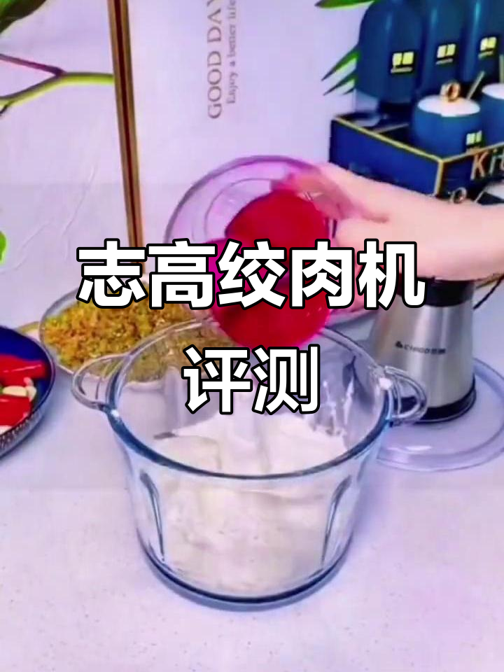 志高绞肉机：加厚玻璃碗与强力刀头，轻松搞定各种馅料
