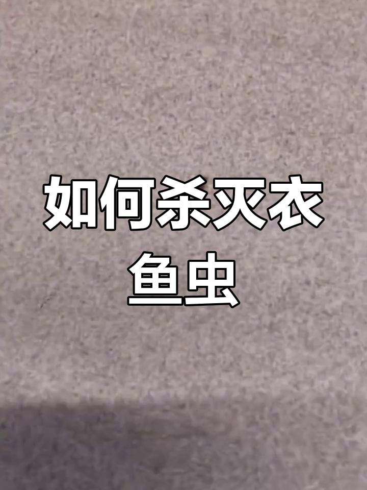 衣鱼虫防治全攻略:如何彻底消灭这些小害虫