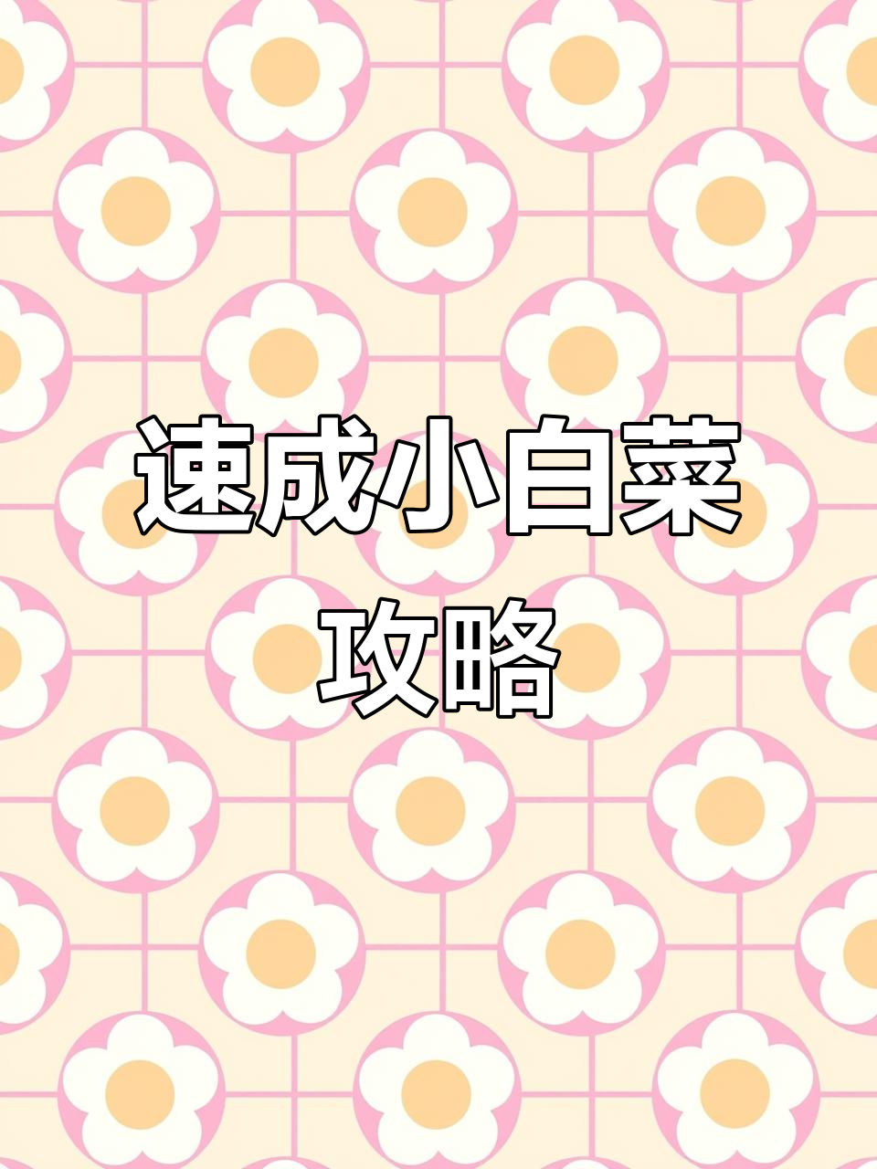 20天阳台种小白菜,手残党也能轻松搞定!