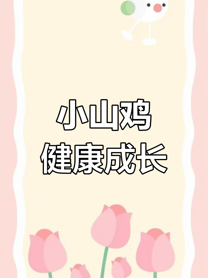 人工孵化小山鸡,5天健康成长!