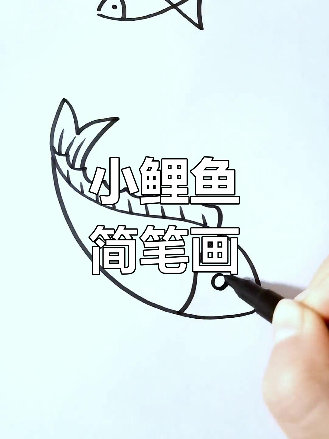 简单小鲤鱼画法教程