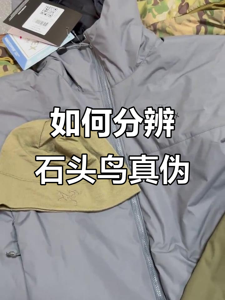 石头鸟真假辨别技巧,教你如何轻松识破