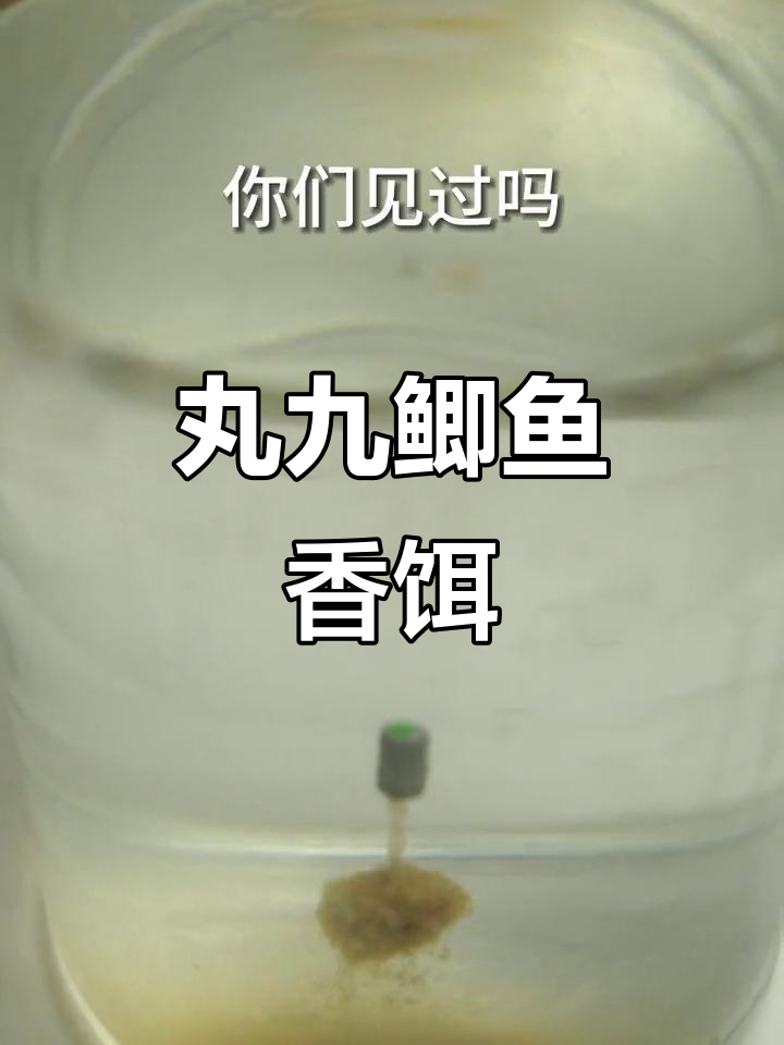 丸九进口饵料,鲫鱼最爱清香型配方