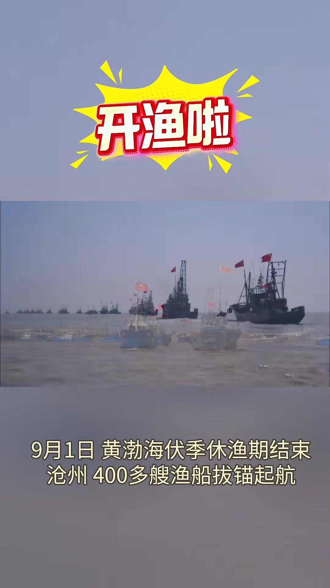 9月1日12时，黄渤海海域休渔期结束。沧州400余艘海洋渔船拔锚起航，开始新一轮捕捞作业。