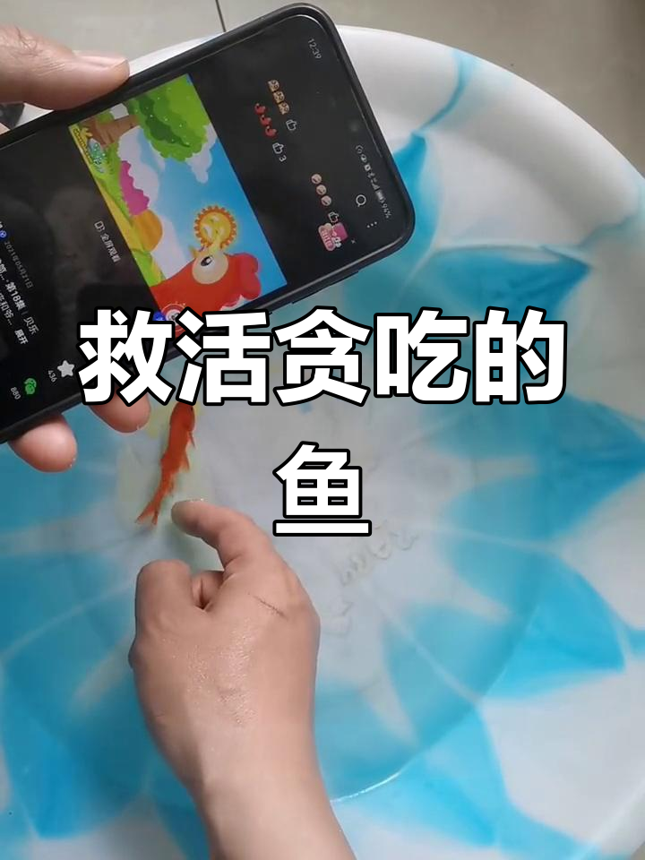 小金鱼吃撑了,紧急抢救!