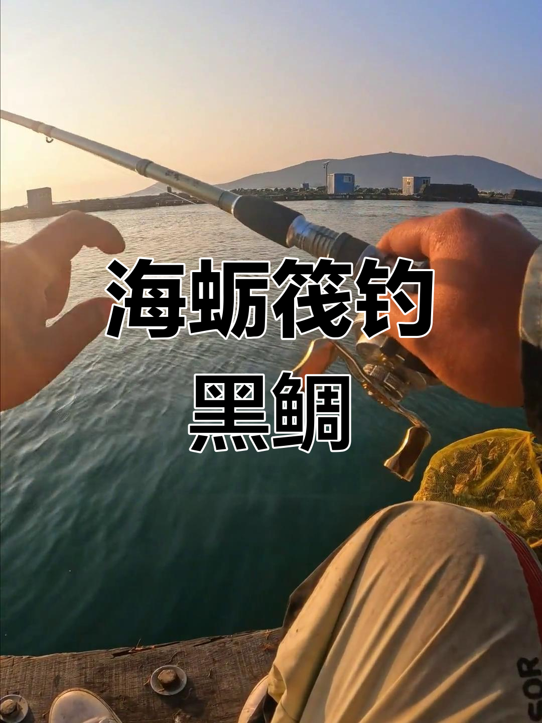 一年一度的海蛎筏钓黑鲷盛典,轻松捕获二三十斤大鱼