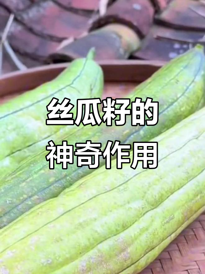 丝瓜子炒一炒,竟然能解决生活大烦恼