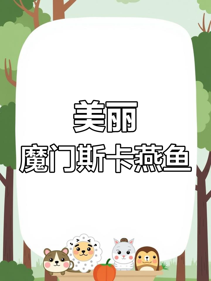 魔门斯卡神仙鱼:秘鲁珍稀观赏鱼类