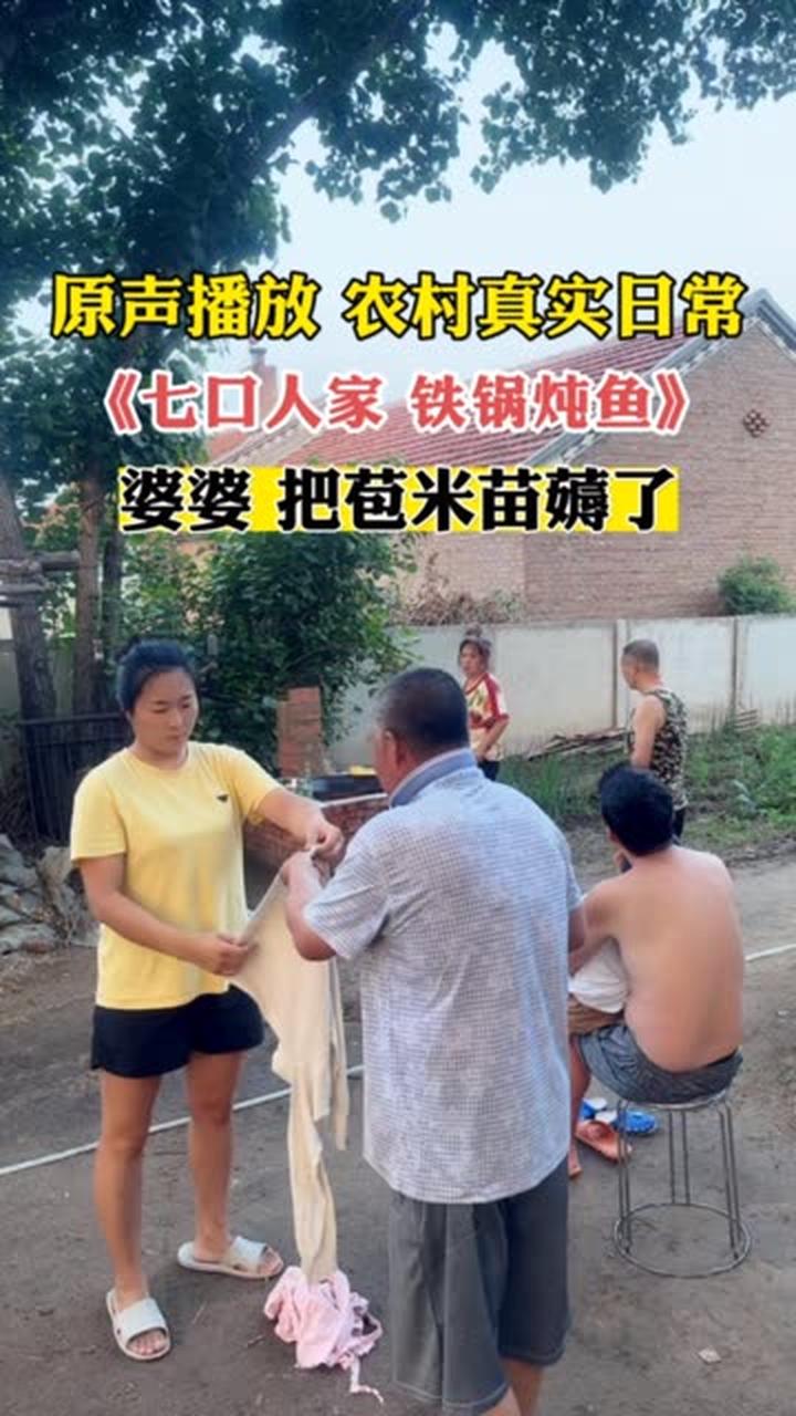 大胆原声播放,七口人家的农村真实日常,铁锅炖鱼