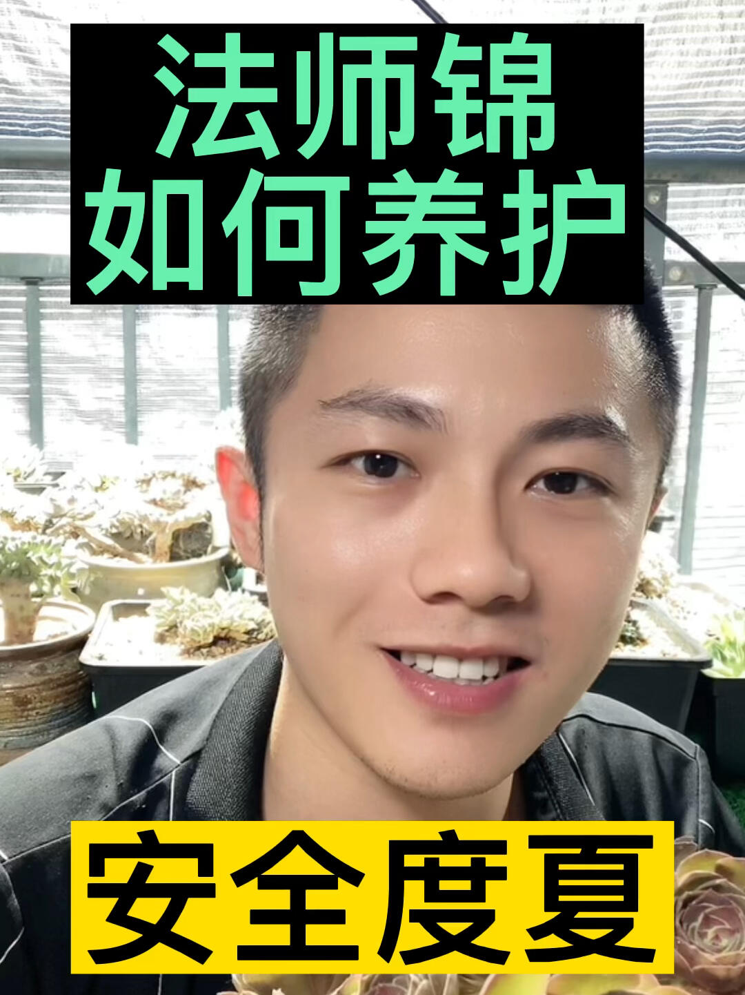 多肉法师锦养护方法