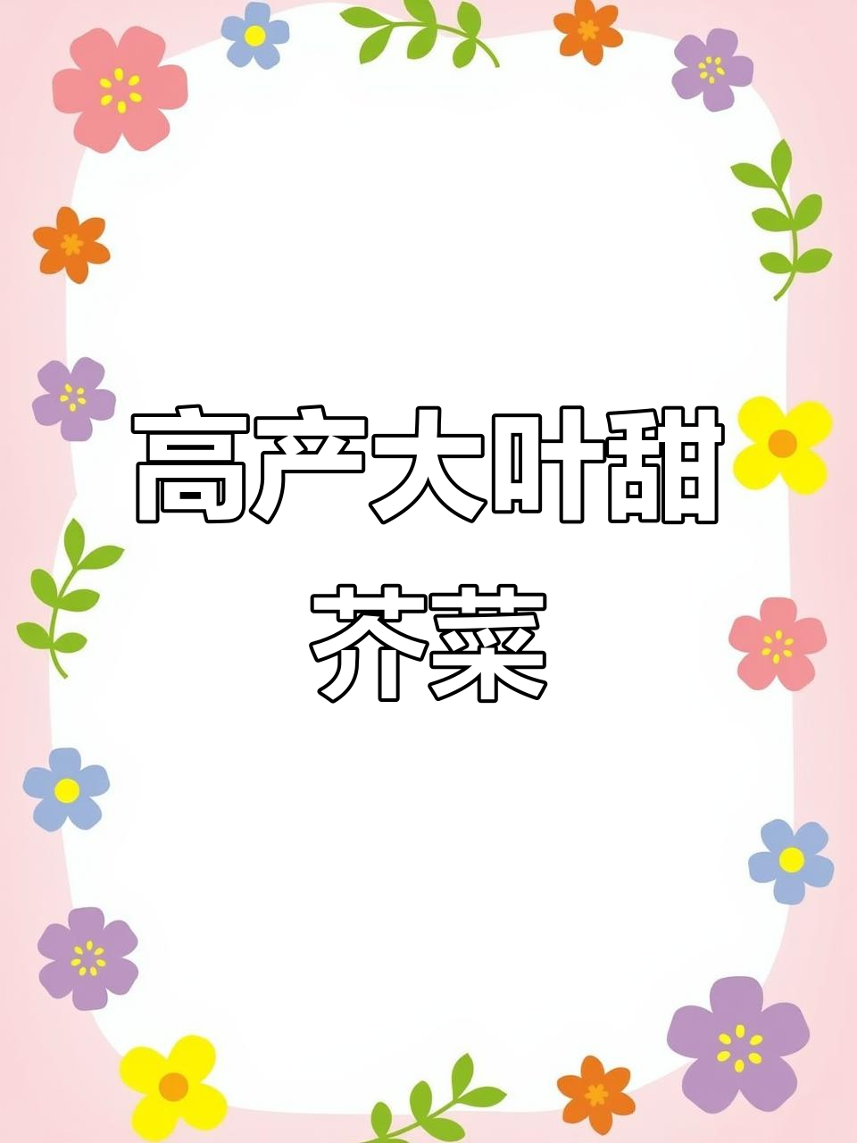 大叶甜芥菜，一次种够一年吃！川味酸菜脆嫩鲜香