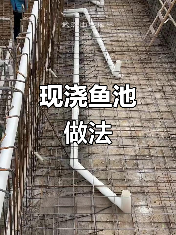 80吨现浇鱼池施工揭秘:从假山到深水区全流程解析