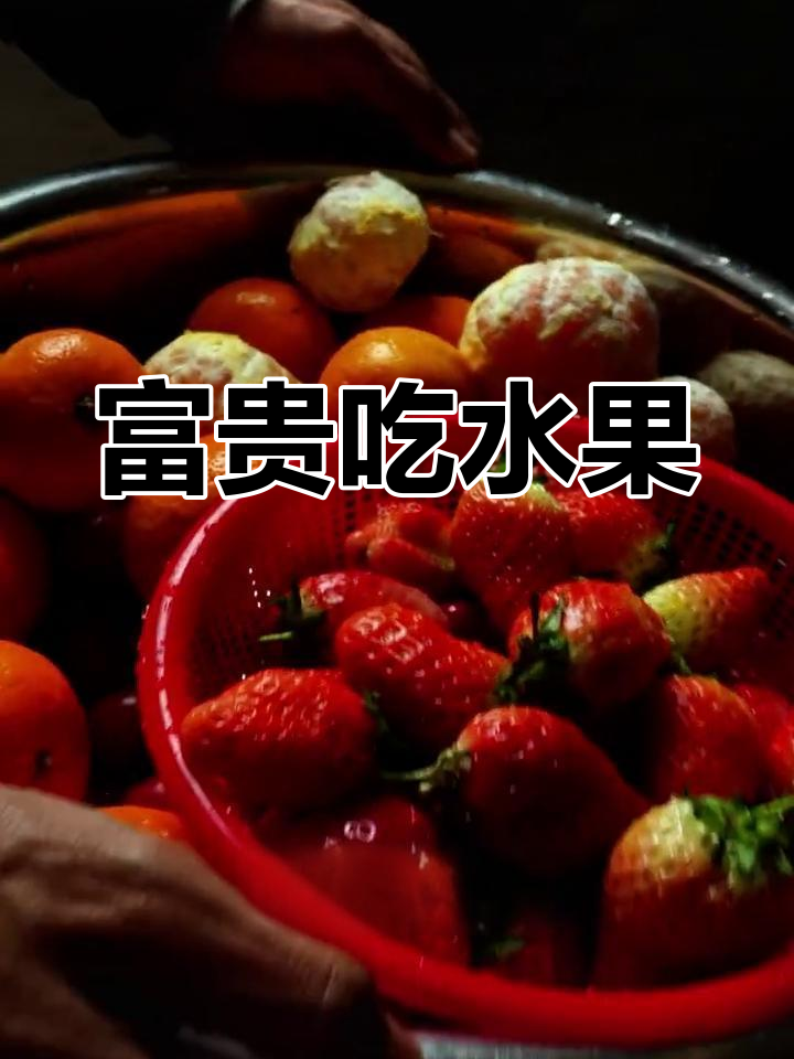 富贵熊享受美味水果拼盘