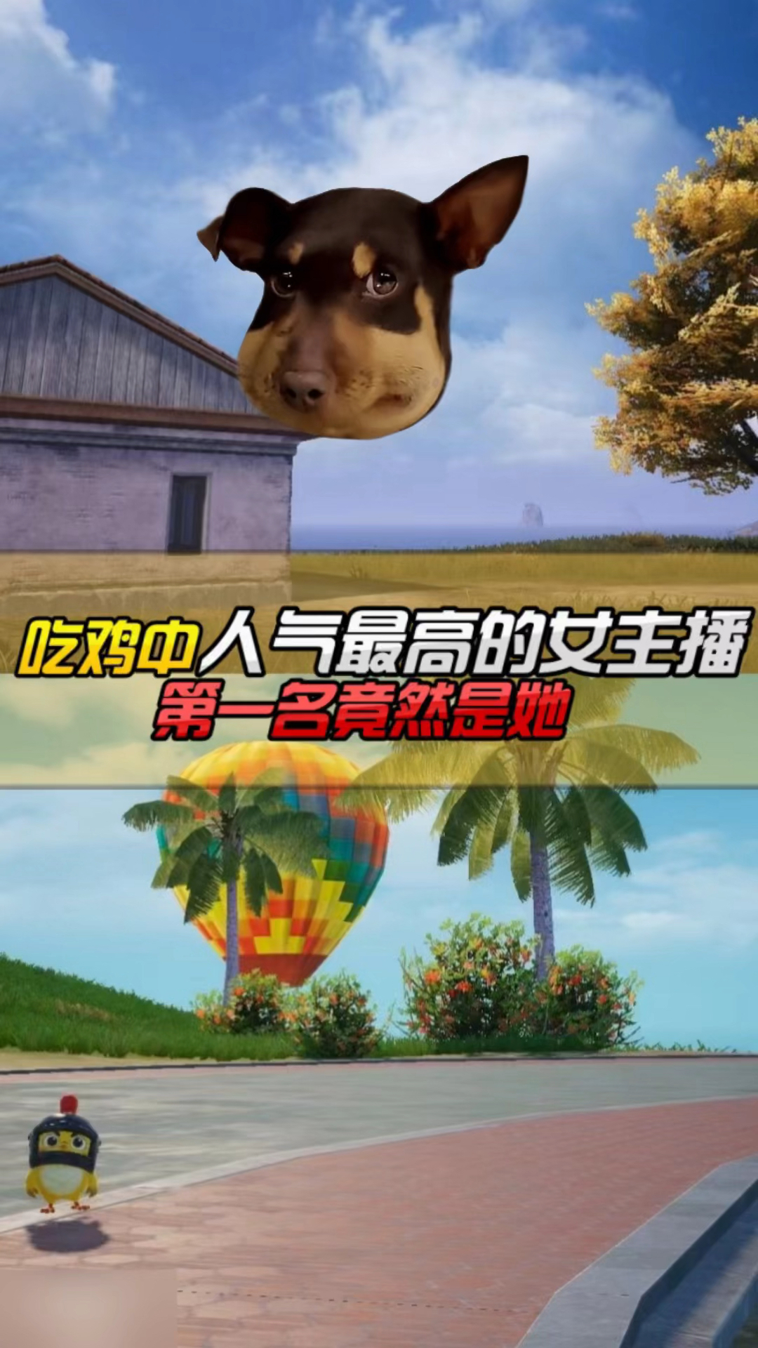 吃鸡中人最好的女主播,你都知道是谁嘛?