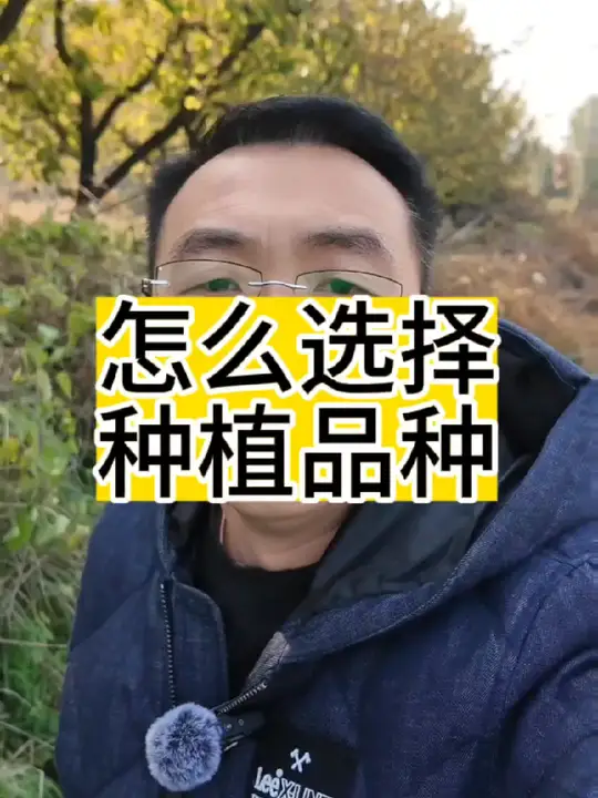 三农领域药材种植与收购的前景如何？