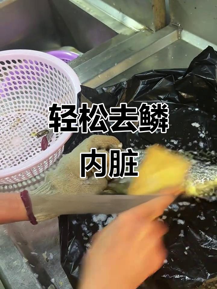 石斑鱼处理全攻略,简单几步搞定!