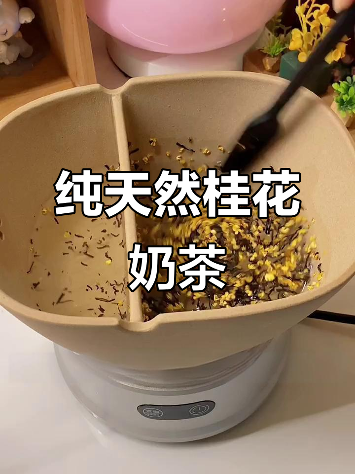 自制桂花奶茶,香气扑鼻,简单又好喝