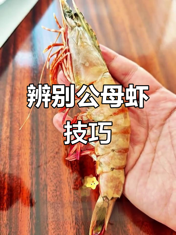如何分辨公母虾？看蛹足就能搞定