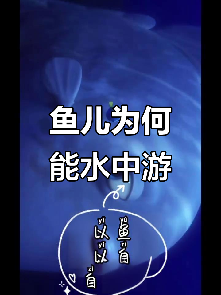 为什么鱼儿能在水里自由游动？揭秘鱼儿的秘密