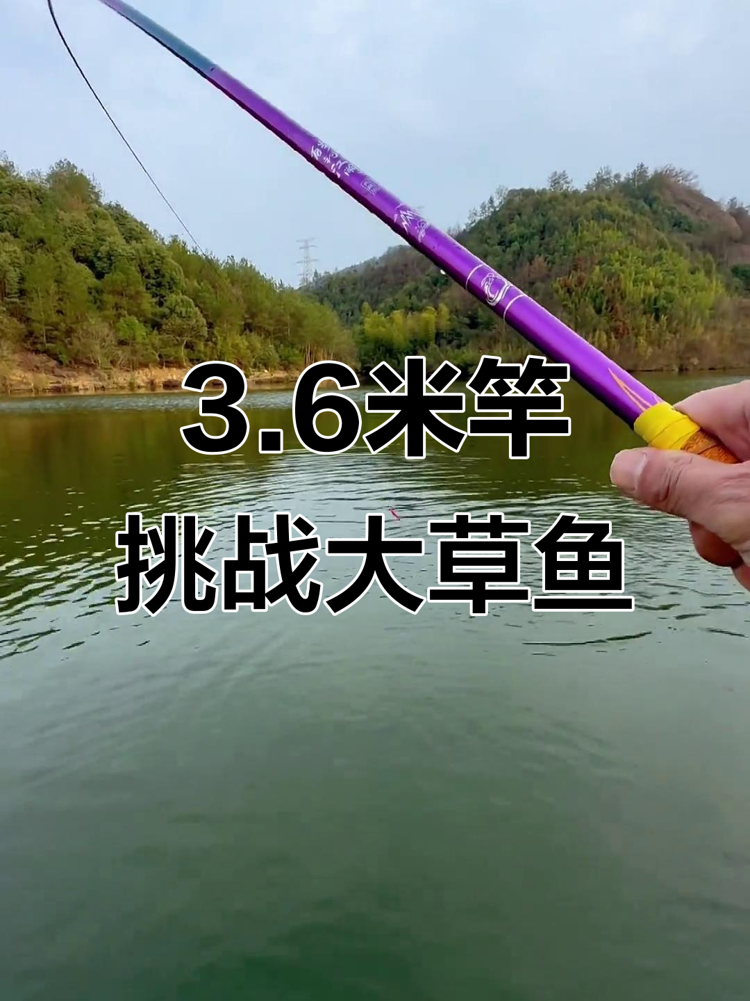三米六杆子挑战水库大鱼，终于钓到一尾二十斤草鱼！