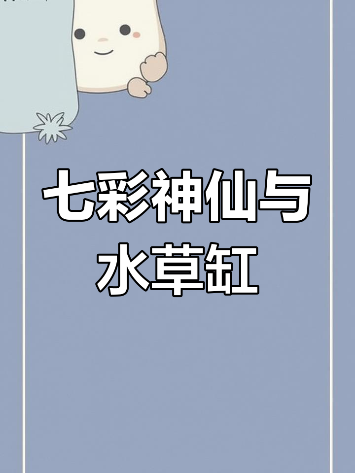 水草缸中的神仙鱼,七彩燕如何搭配水族环境