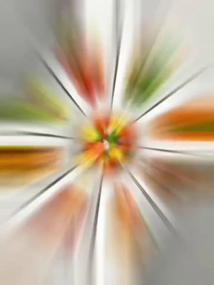 酒店家用适用，扇形餐具套装巧摆盘