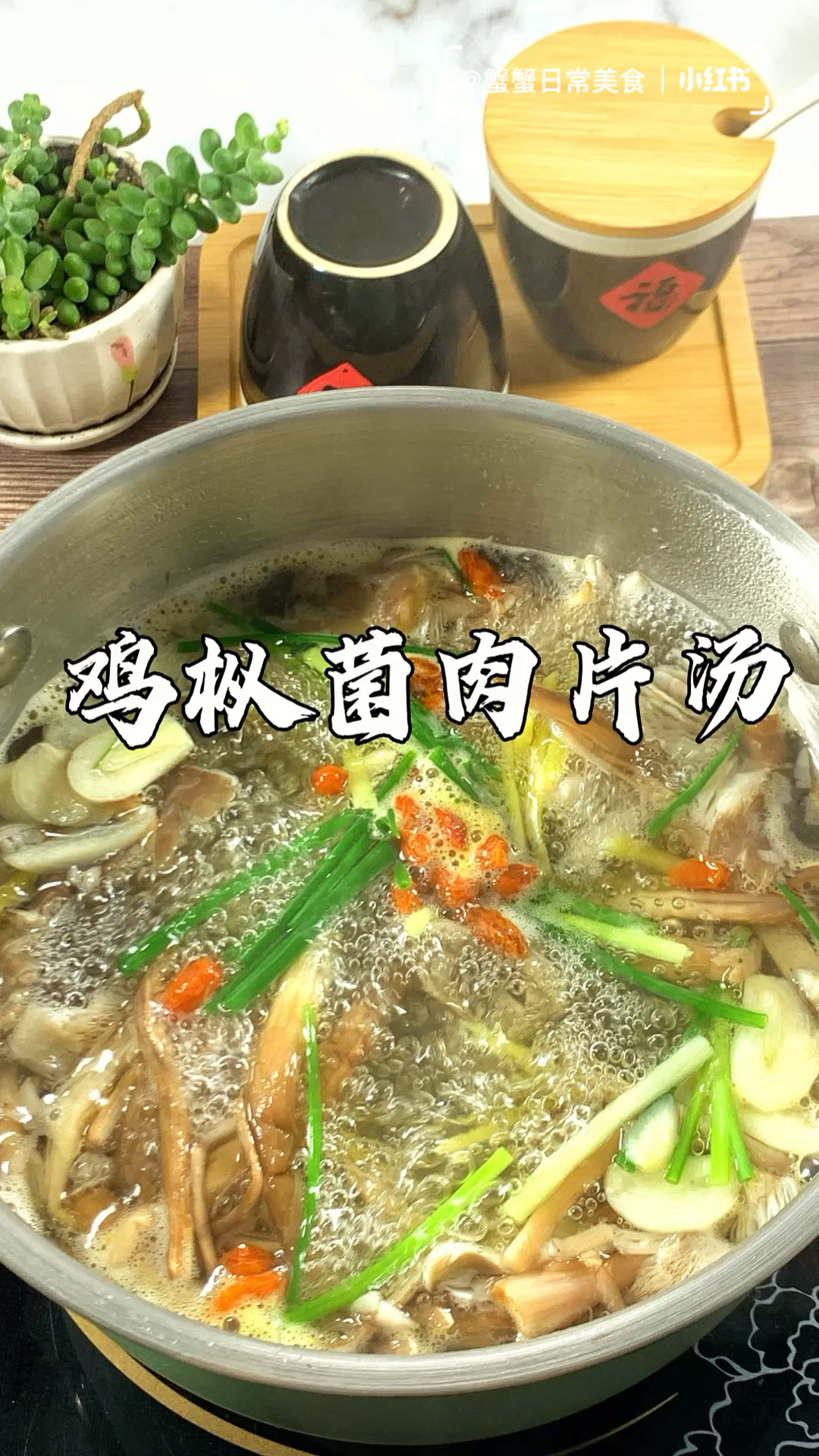 云南美食鸡枞菌!鲜掉眉毛的鸡枞菌肉片汤!
