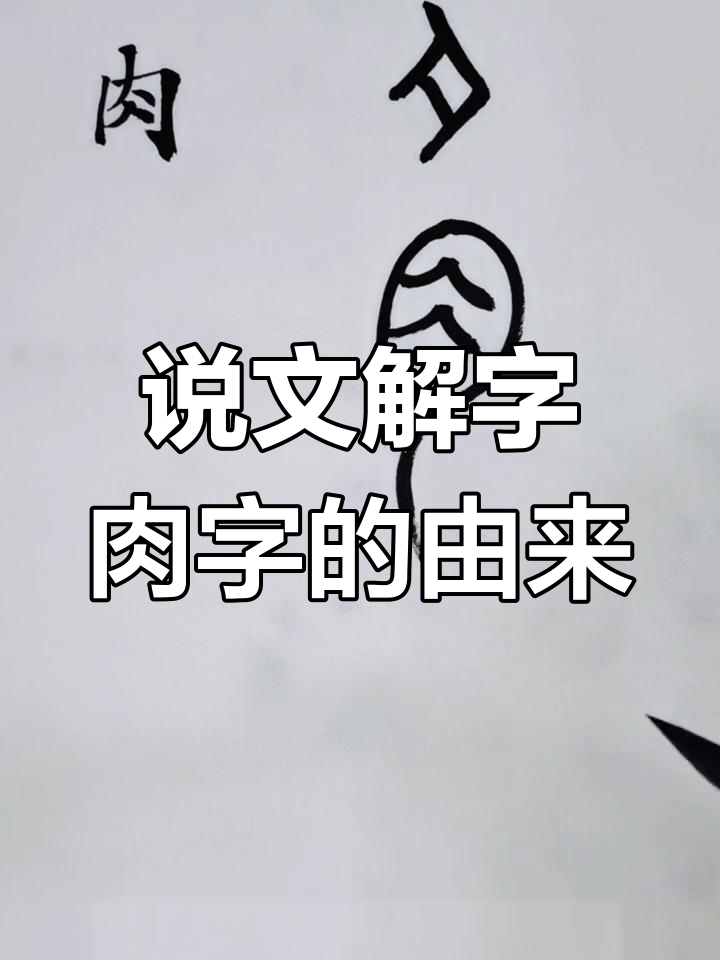 肉字演变与书法艺术