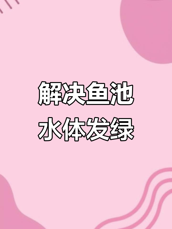 鱼池水质浑浊?过滤器帮你搞定!