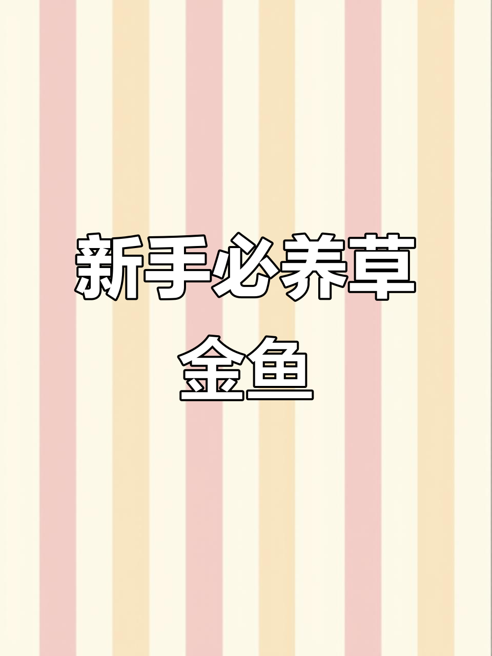 草金鱼:最适合新手养的冷水观赏鱼,活泼好动又美丽