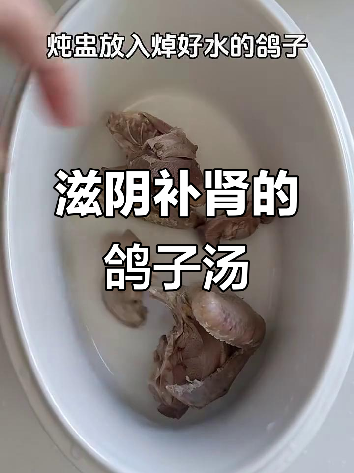 墨鱼鸽子汤,滋补肝肾、益气养血,喝一碗精神焕发