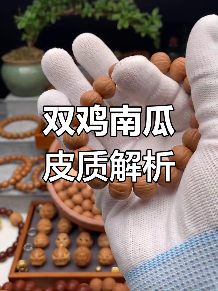 猴头核桃双鸡南瓜的油性与密度优势