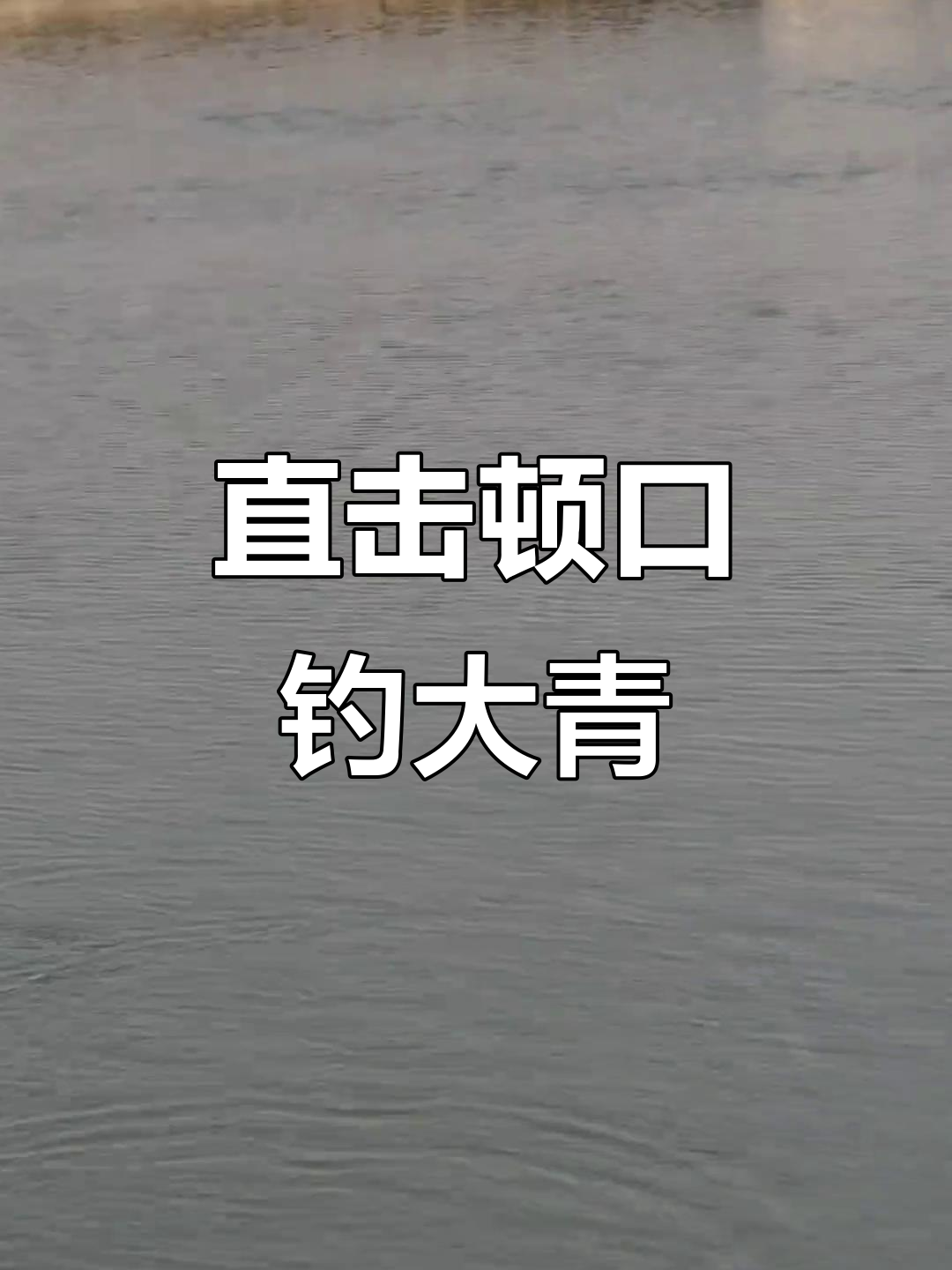 珠珠钓青鱼技巧：直线打口，顿口抓大物