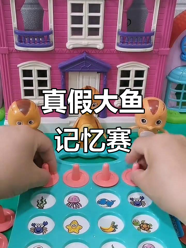 大鱼和小鱼的记忆挑战,谁才是真正的大雨?