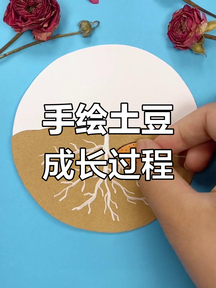 土豆生长全过程揭秘,一起动手画一画