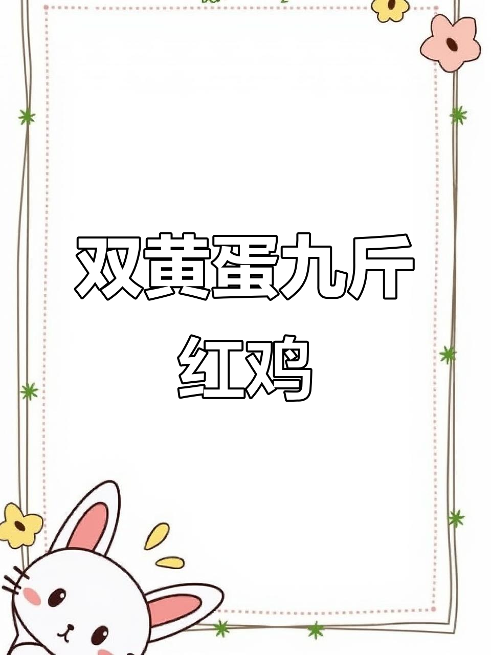九斤红鸡苗双黄蛋,健康活泼公母搭配