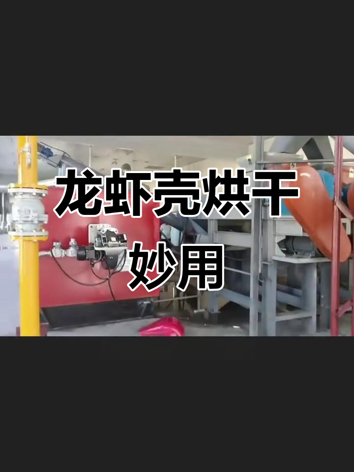 龙虾壳变废为宝,烘干机助力水产养殖