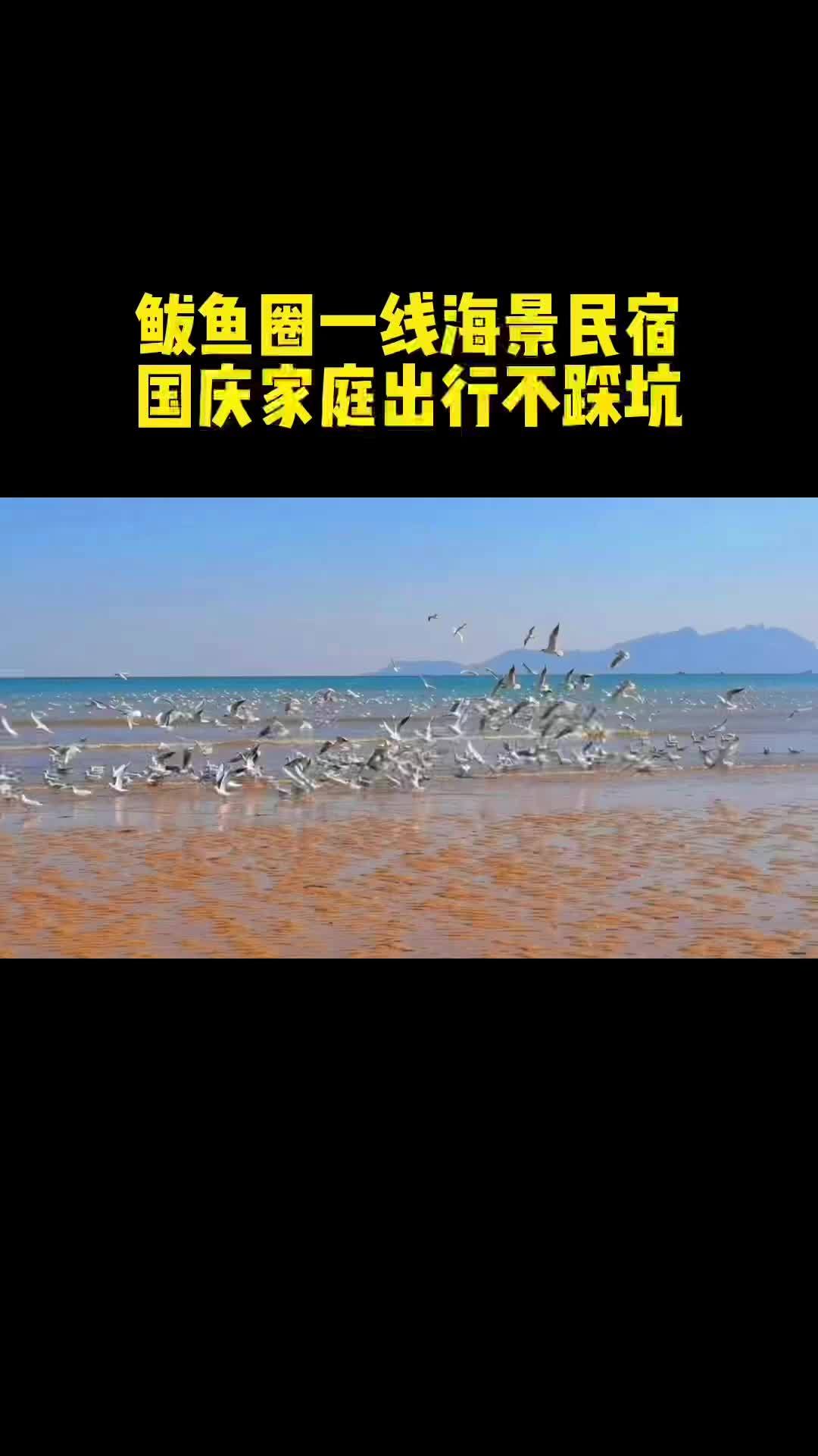 国庆长假来鲅鱼圈旅游,不踩坑的海景民宿 鲅鱼圈旅游攻略 鲅鱼圈海景民宿 鲅鱼圈民宿