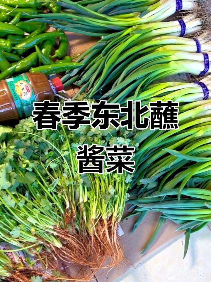 东北春天必吃蘸酱菜,饭包白菜叶和小樱桃水萝卜来啦!