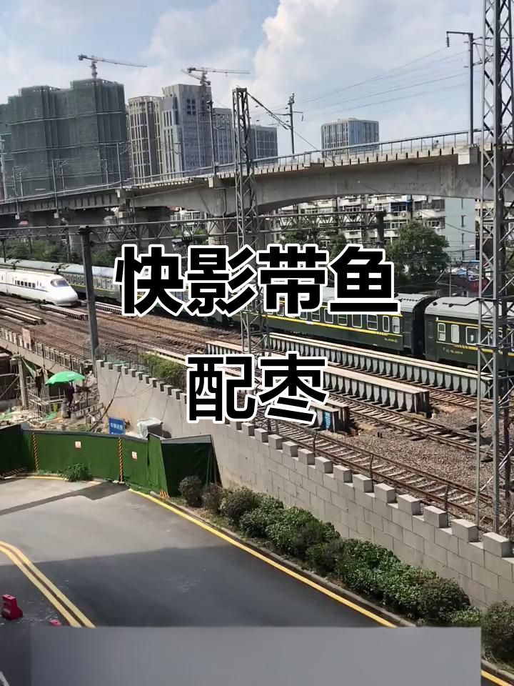 带鱼与红枣的奇妙搭配,简单又美味