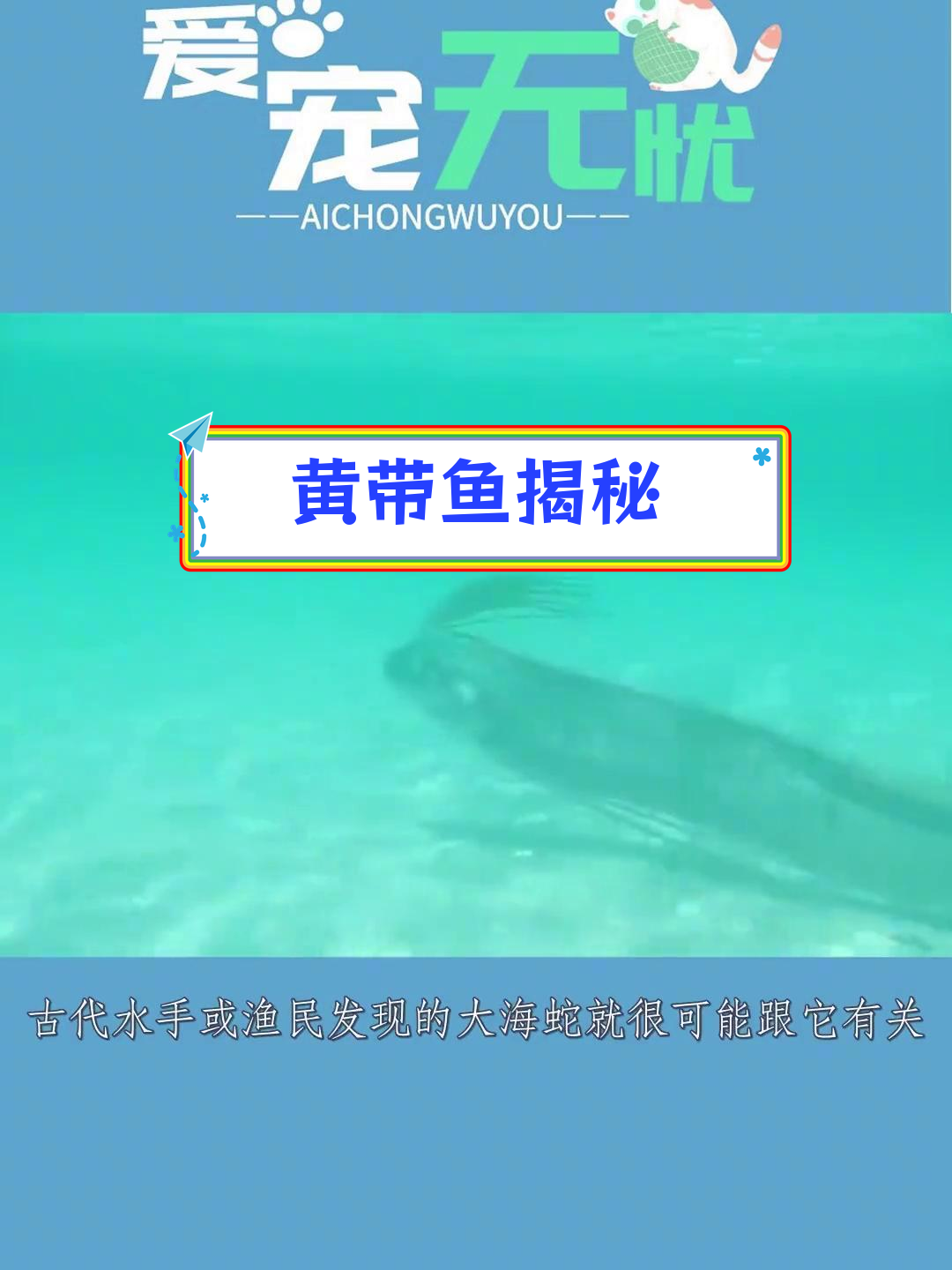 世界上最长的硬骨鱼:黄带鱼的神秘起源