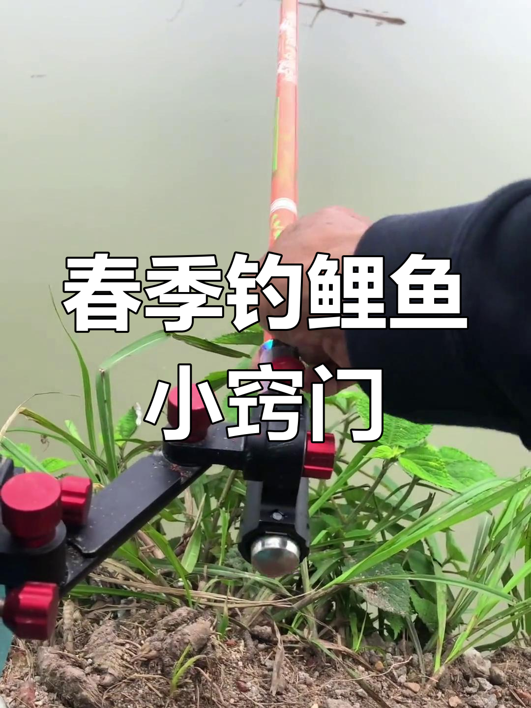 春天钓鱼必备技巧,长竿浮漂搭配摇三摇饵料