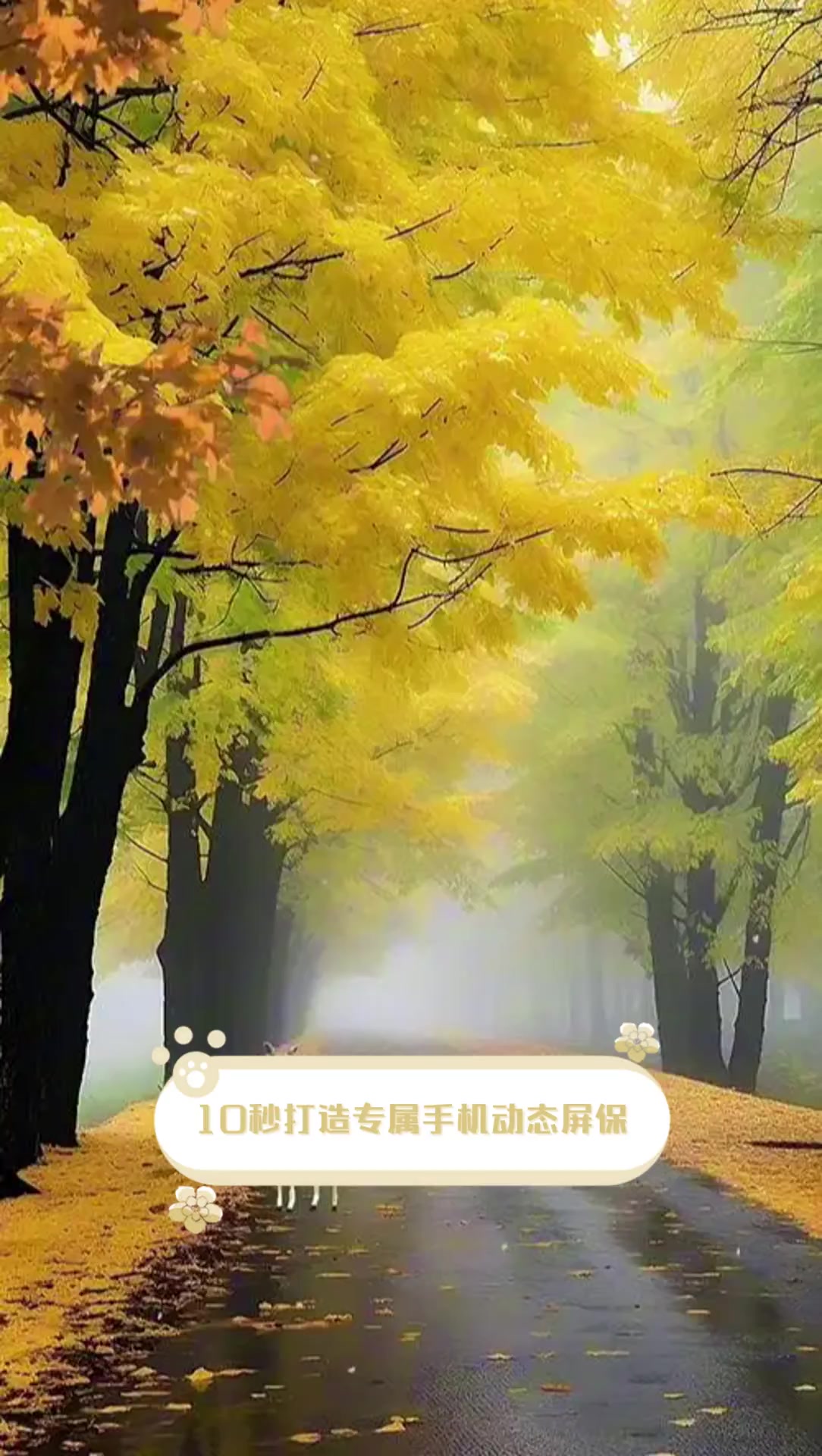 10秒打造专属手机动态屏保