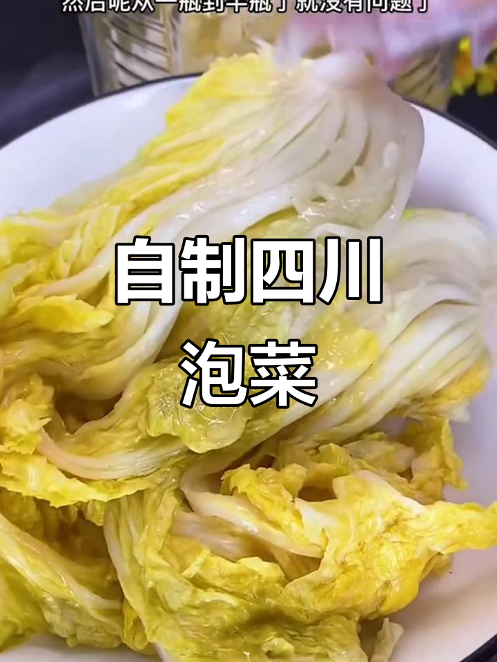 四川泡菜酸白菜,包包子、炒肉都能用!