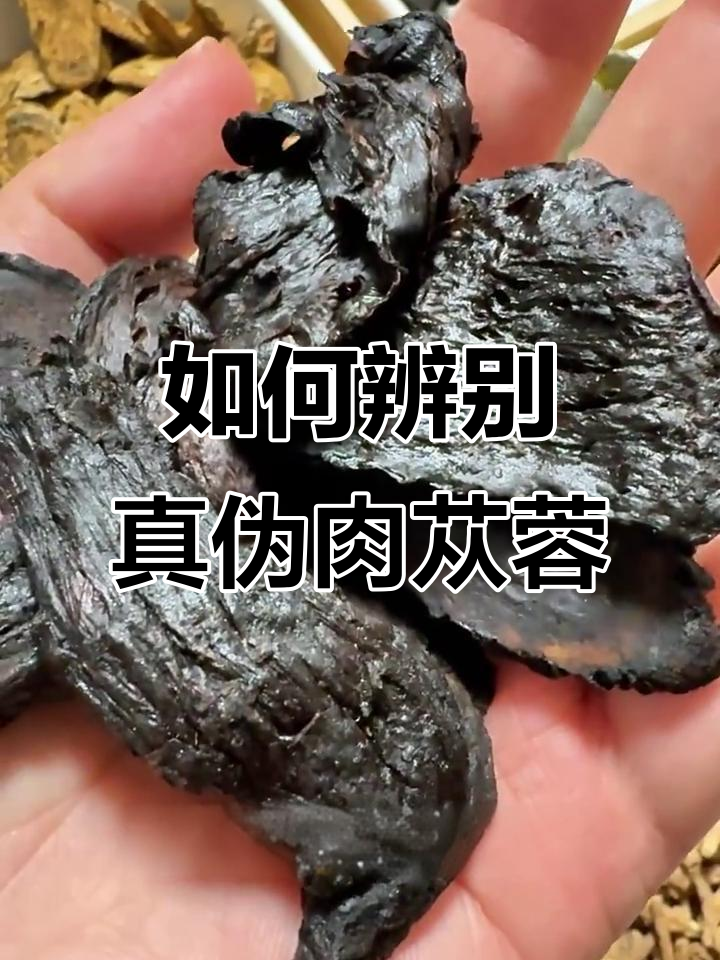 肉苁蓉真假难辨，如何挑选正品？