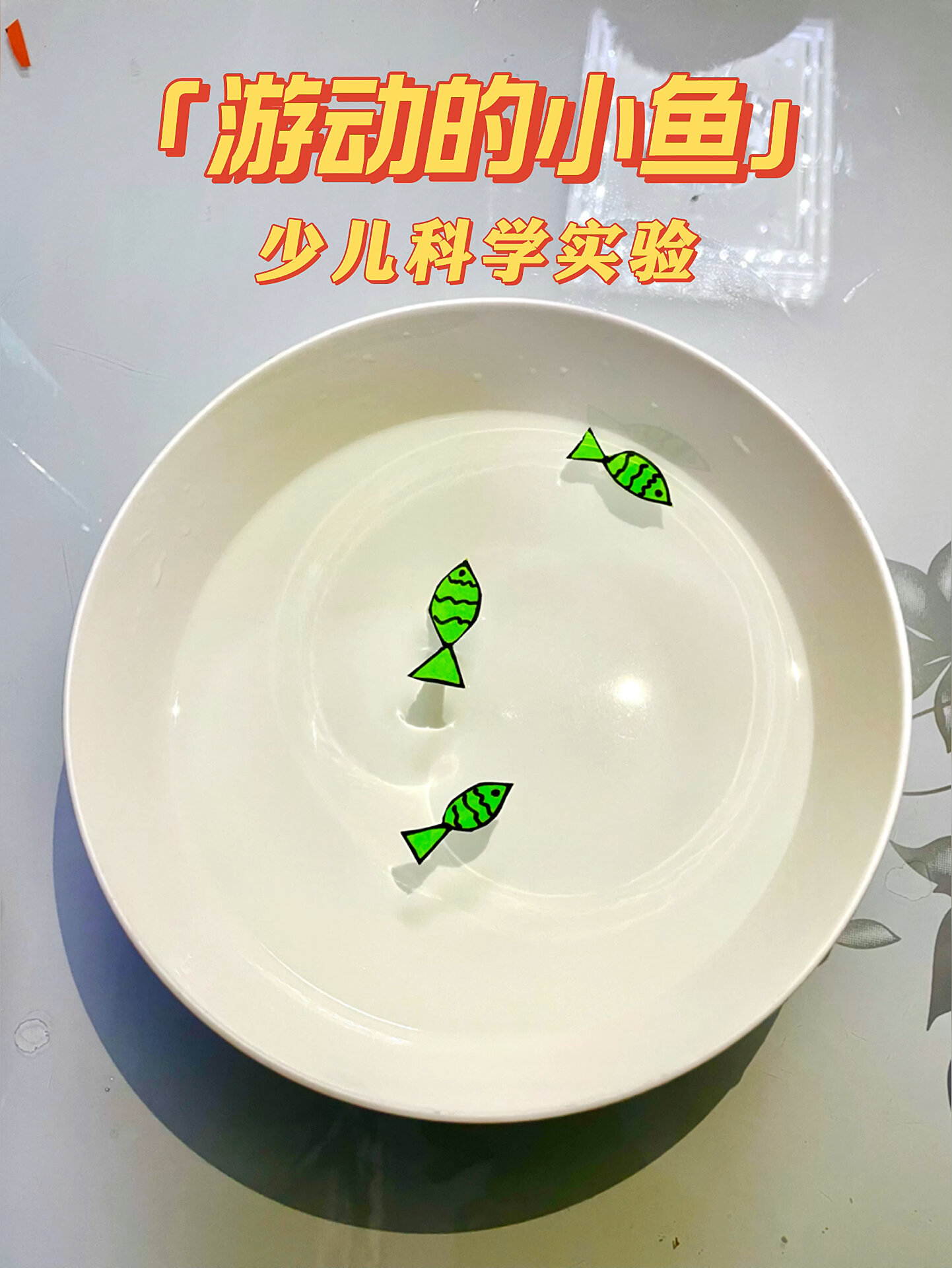 本期科学实验:游动的小鱼