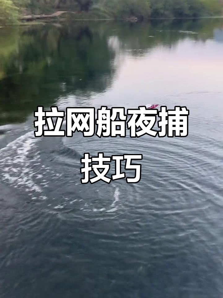 夜晚灯光拉网捕鱼，遥控操作轻松搞定