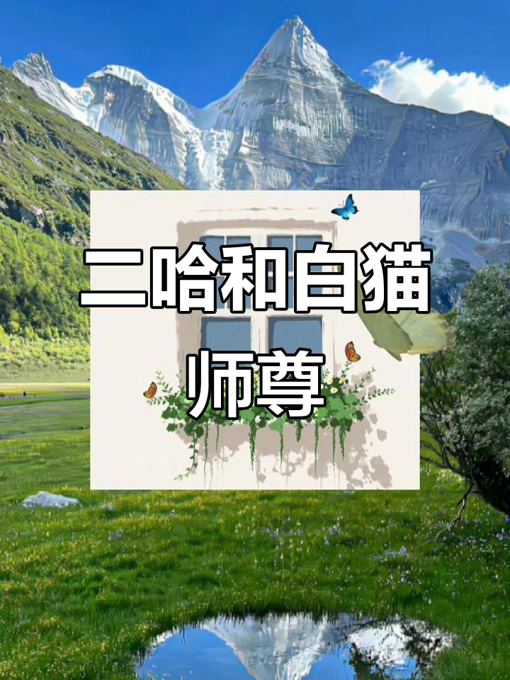 二哈与白猫师尊的奇幻之旅,墨燃楚晚宁的故事