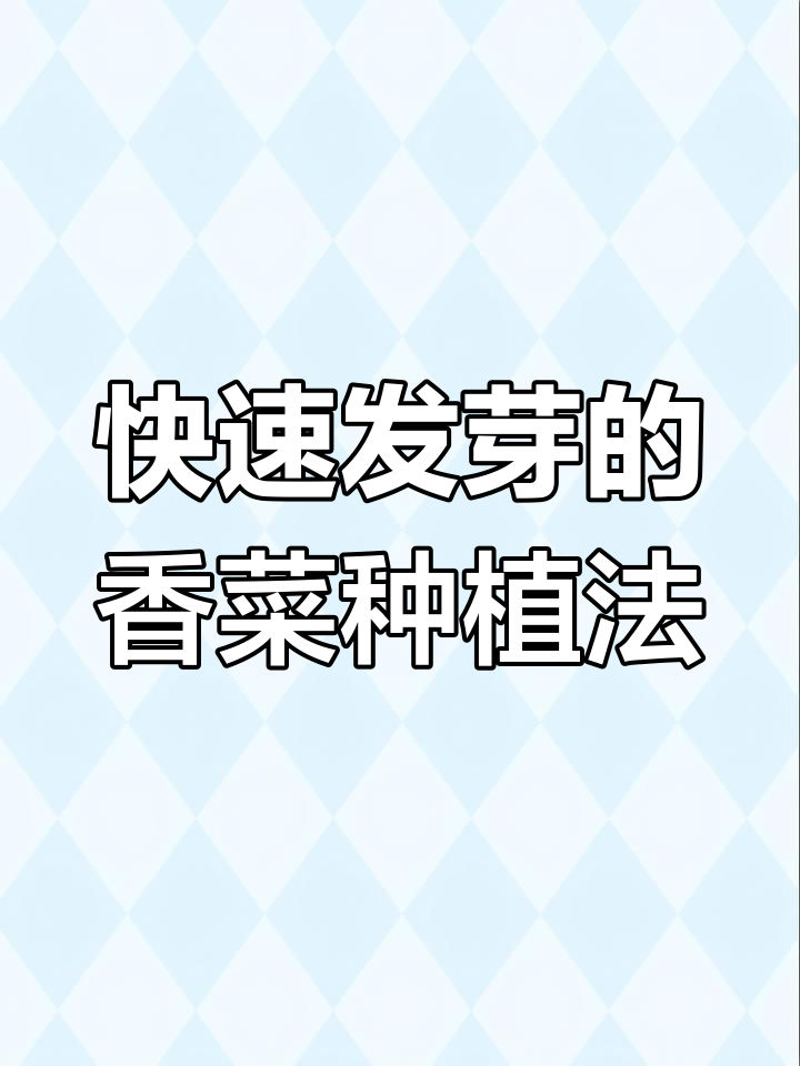 香菜种子冰箱冷藏5天,出苗率大幅提升