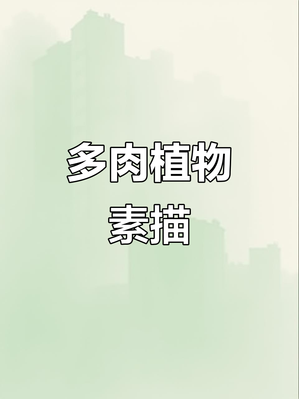 9-10岁儿童素描：多肉植物创意课程